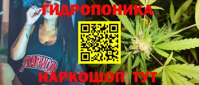 круглые Краснознаменск