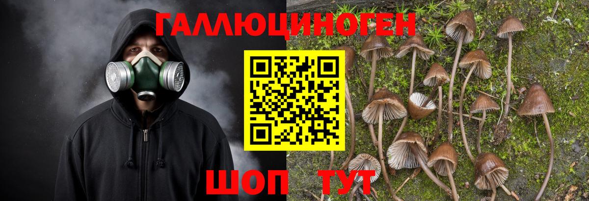 Галлюциногенные грибы ЛСД  Вход с VPN  Качканар 
